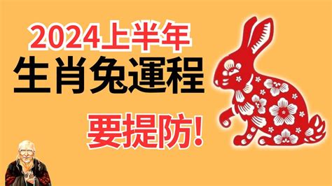 2025兔年運程1987|属兔人2025年每月运势详解，生肖兔2025年全年运势。